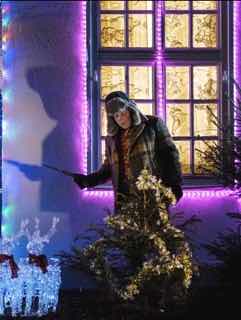 Все иголки на елке